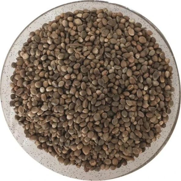 Kenevir Kendir Tohumu 1 Kg. ürün görseli 1