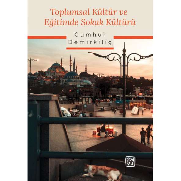 Toplumsal Kültür ve Eğitimde Sokak Kültürü ürün görseli 1
