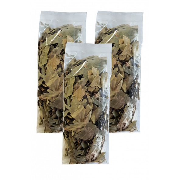 Çınar Yaprağı 3 Paket Çınar Yaprağı Çayı Kurutulmuş Çınar Yaprağı Bitkisi ürün görseli 1