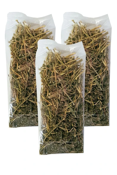 Şahdere Otu Bitkisi 3 Paket Şahtere Çayı Kurutulmuş Şahdere Otu Şahtere ürün görseli 1