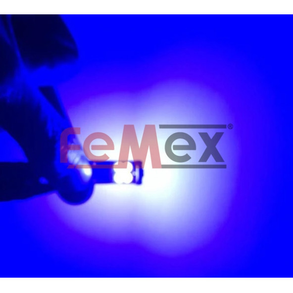 FEMEX T10 3030 Chip 12Ledli 650Lumen Mavi Led Ampul Aktif Canbus ürün görseli 1