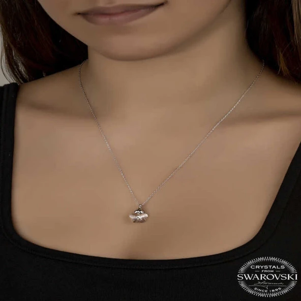 Swarovski Crystal Taşlı Papatya Gümüş Kadın Kolye ürün görseli 1