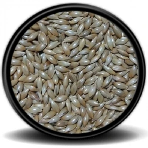 Sade Kanarya Yemi (Aspur) 1kg ürün görseli 1