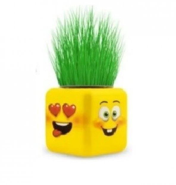 6li Karışık 3 Tarafı Emojili Figürlü Küp Çim Adamlar Okul Ve Okul Öncesi Hediyelik Çim Adam ürün görseli 1