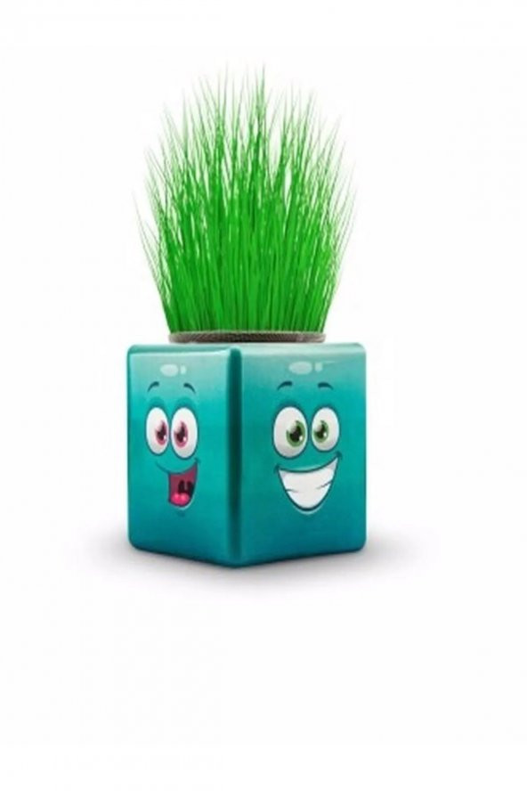 9li Karışık 3 Tarafı Emojili Figürlü Küp Çim Adamlar Okul Ve Okul Öncesi Hediyelik Çim Adam ürün görseli 1