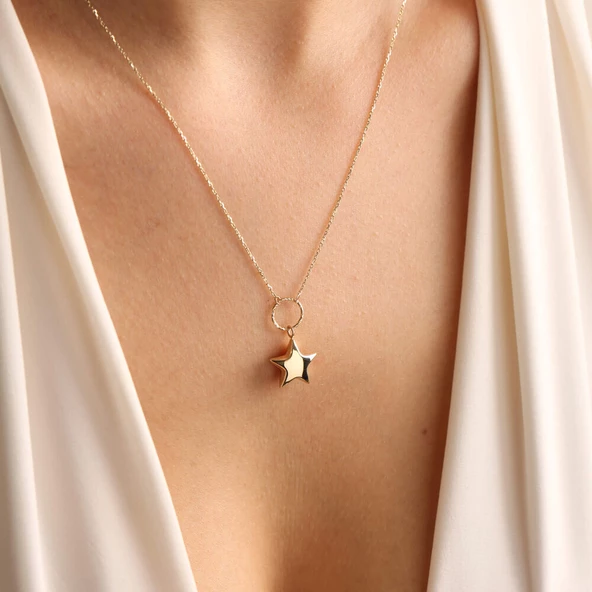 14 Ayar Altın Choker Kolye Yıldız Form - Resim 2