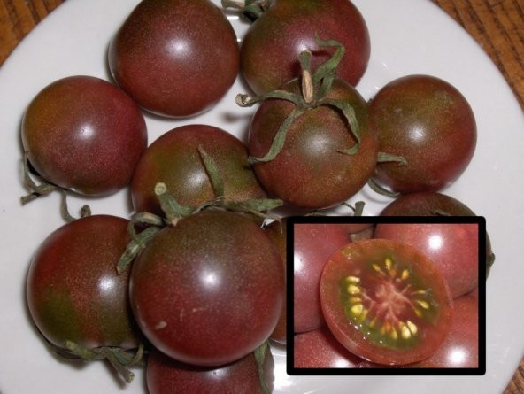 BLACK CHERRY TOHUMU ürün görseli 1