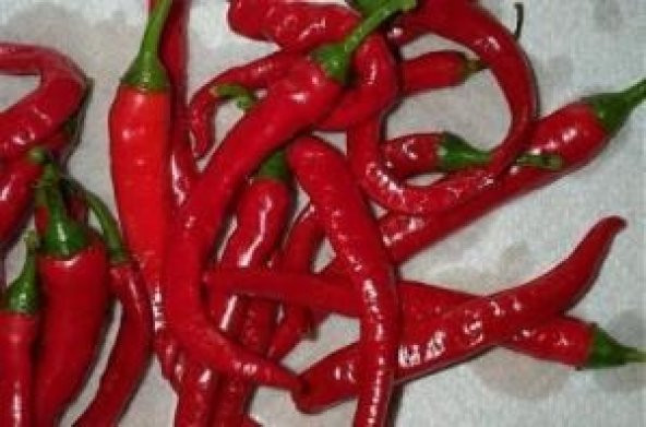 CAYENNE BİBERİ TOHUMU* (ÇOK ACI) - Resim 2