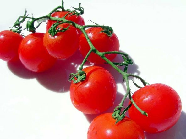 DELICIOUS SALKIM CHERRY DOMATES 25 TOHUM - Resim 2