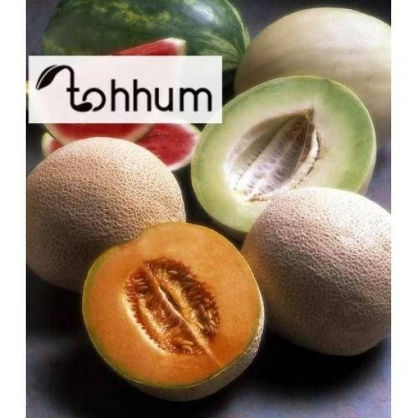 KARIŞIK KAVUN TOHUMU - Resim 2