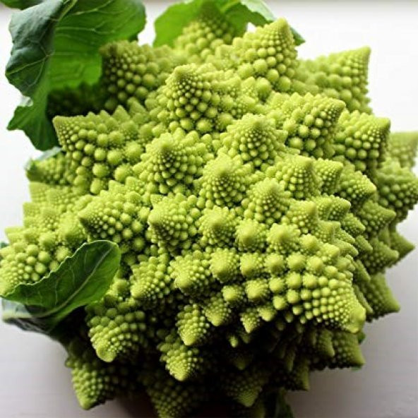 İTALYAN ROMANESCO PİRAMİT BROKOLİ TOHUMU ürün görseli 1
