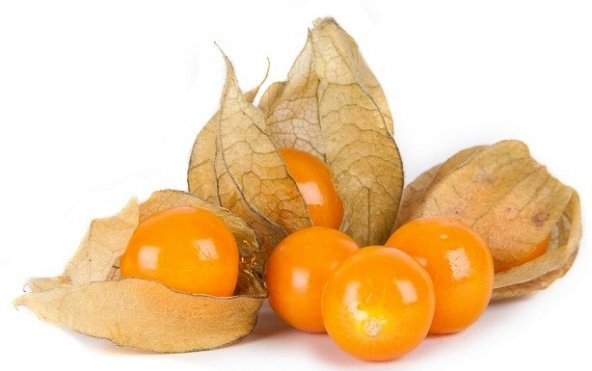 Goldenberry Altın Çilek Tohumu ürün görseli 1
