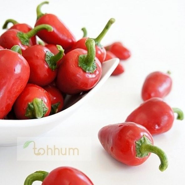 Kiraz Cherry Biber Tohumu - Resim 2