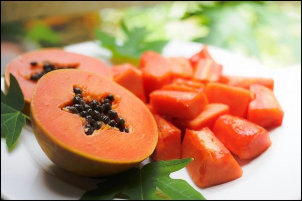 PAPAYA MEYVESİ TOHUMU ürün görseli 1