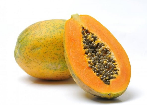 PAPAYA MEYVESİ TOHUMU - Resim 2