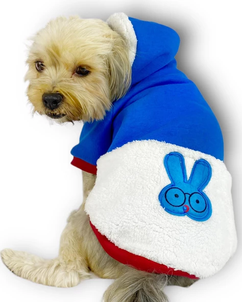 Sweet Blue Rabbit Kapşonlu Sweatshirt Köpek Kıyafeti Köpek Elbisesi ürün görseli 1