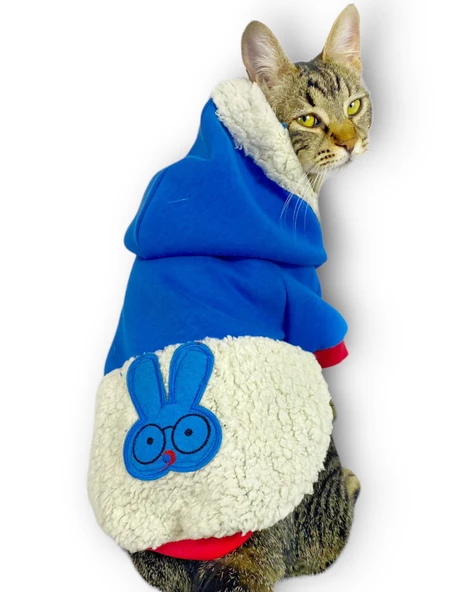 Sweet Blue Rabbit Sweatshirt Kapşonlu Kedi Kıyafeti Kedi Sweatshirt ürün görseli 1