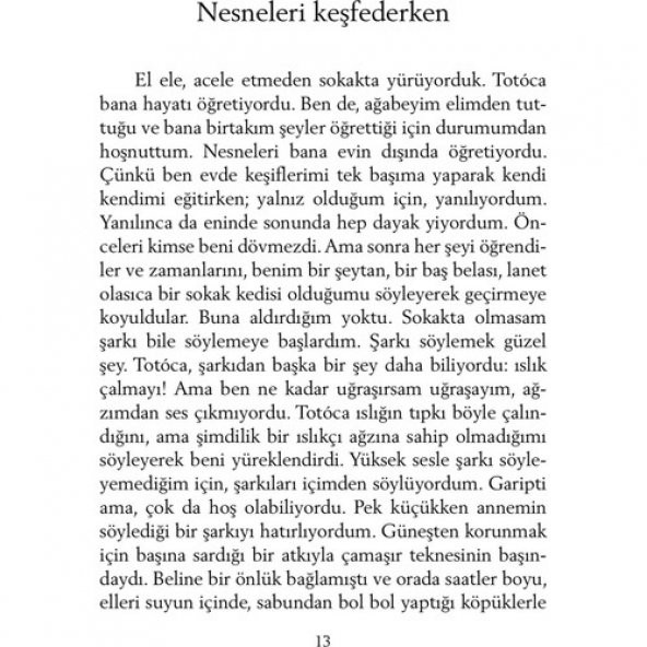 ŞEKER PORTAKALI - Resim 3