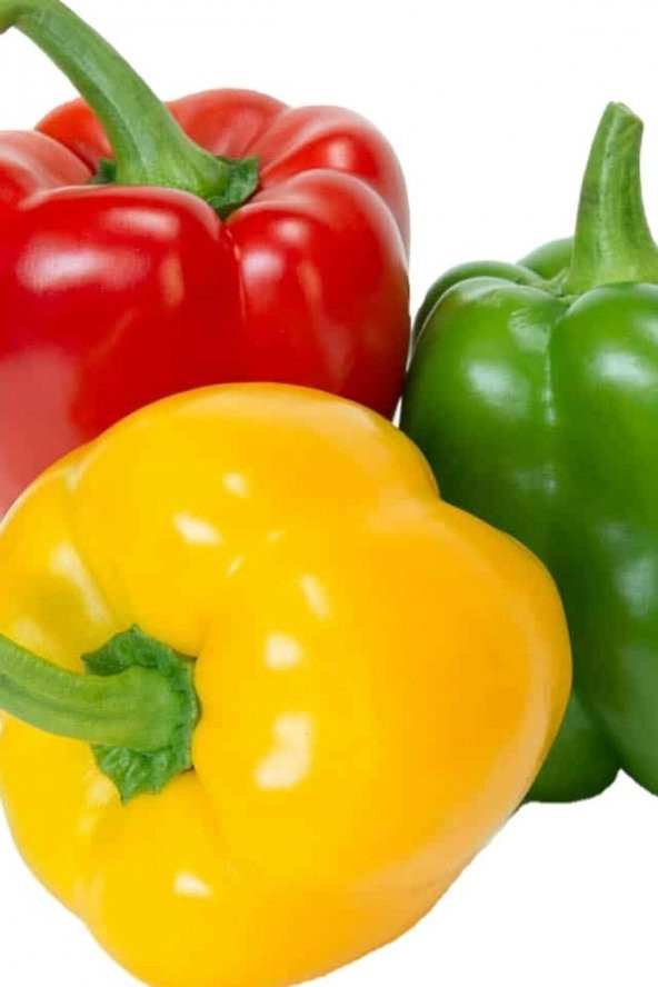 Tohum Dünyam Dolmalık Biber Tohumu Renkli 50 Adet ürün görseli 1