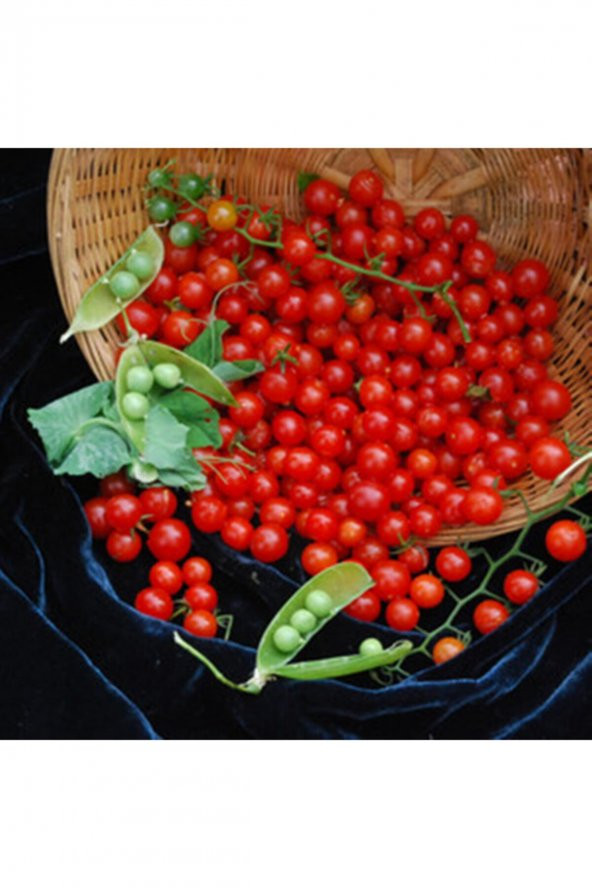 Tohum Dünyam Sweet Pea Currant Domates Tohumu ürün görseli 1