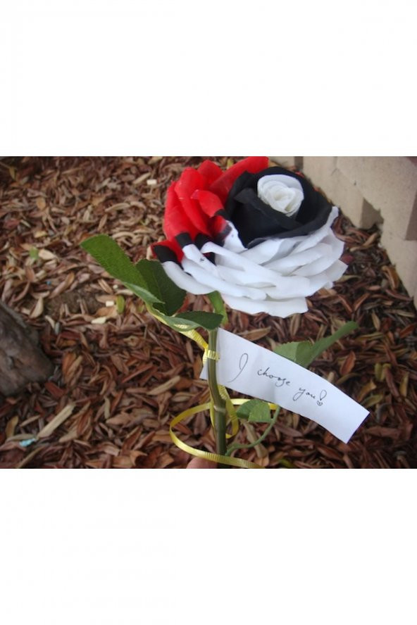 Tohum Dünyam 5 Adet Siyah İnci Gül Tohumu ürün görseli 1