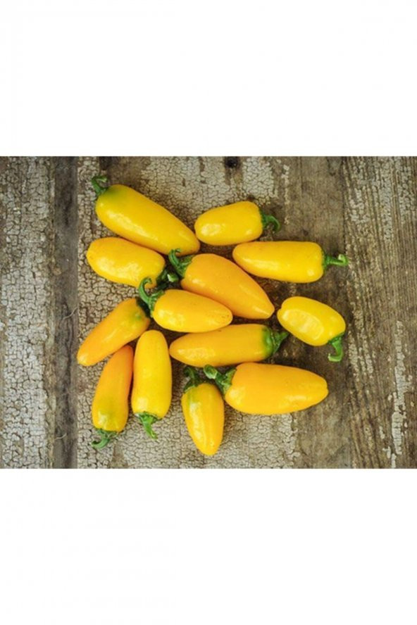 Tohum Dünyam Lemon Spice Jalepeno Biber Tohumu ürün görseli 1