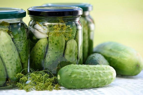Tohum Dünyam 20 Adet National Pickling Cucumber Tohumu ürün görseli 1