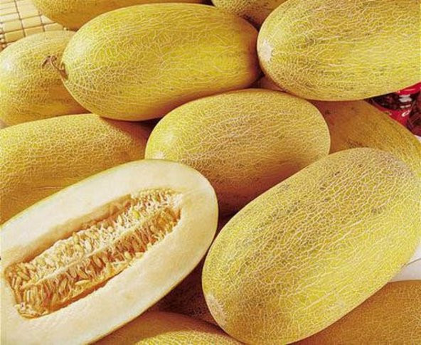 Tohum Dünyam 20 Adet Golden Sweet Crispy Kavun Tohumu ürün görseli 1