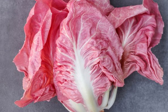 Tohum Dünyam 100 Adet İthal Pembe Marul Tohumu ürün görseli 1