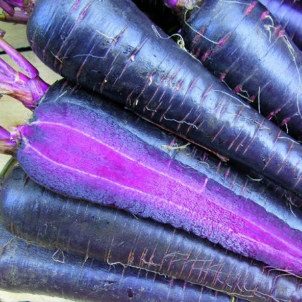 Tohum Dünyam 20 Havuç Deep Purple Havuç Tohumu ürün görseli 1