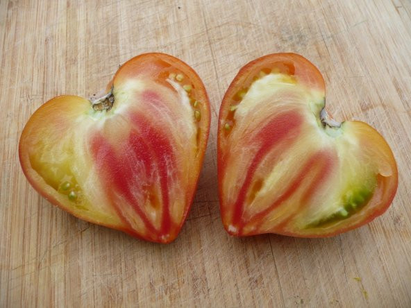 Tohum Dünyam 20 Adet Orange Heart Shaped Domates Tohumu ürün görseli 1