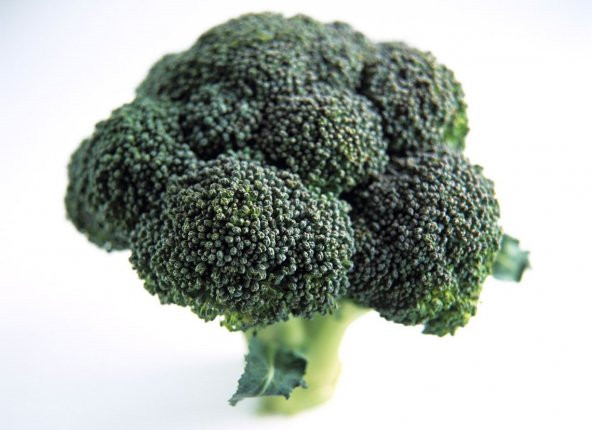 Tohum Dünyam 20 ADET SPROUTING BROCCOLI TOHUMU - Resim 2