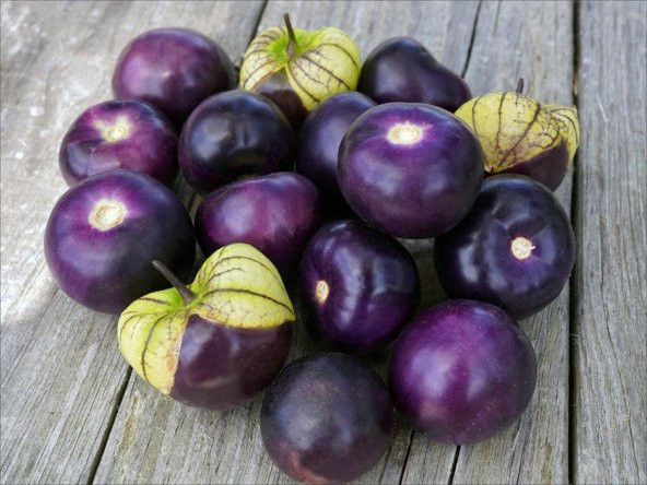Tohum Dünyam 10 Adet Purple Domates Tohumu ürün görseli 1