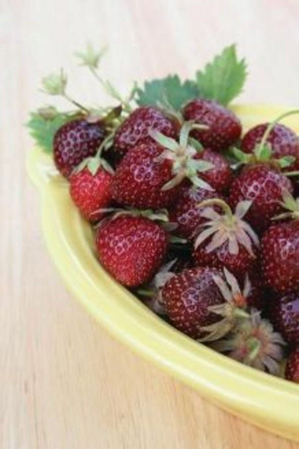 Tohum Dünyam Tatlı Kırmızı Çilek Tohumu 30 Adet ürün görseli 1
