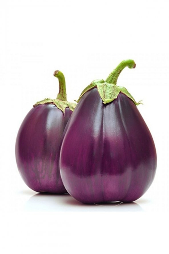 Tohum Dünyam 20 Adet Italyan Floransa Patlıcan Tohumu ürün görseli 1