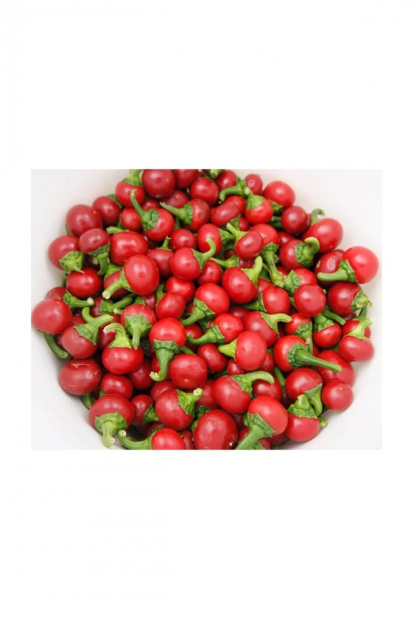 Tohum Dünyam Nadir Ithal Acı Cherry Kiraz Biberi Tohumu 20 Adet Tohum Biber Tohumu ürün görseli 1
