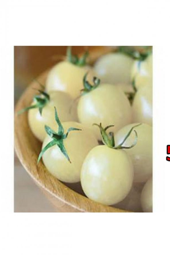 Tohum Dünyam 20 Adet Saksılık Beyaz Cherry Domates Tohumu ürün görseli 1