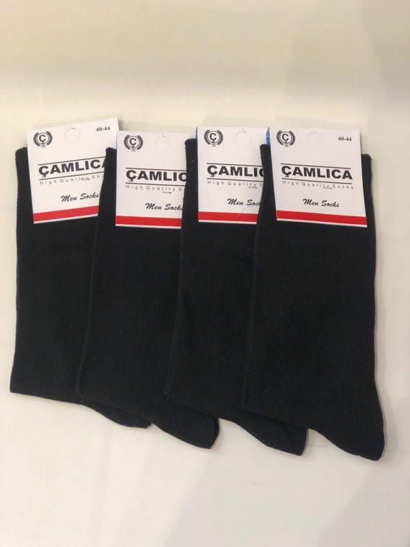 BLUES MODA Pamuklu 4 Adet Çorap ürün görseli 1