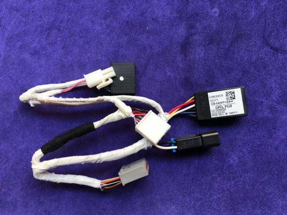 Gentherm Opel P2J0 Ecu Beyin Besleme Kablosu ürün görseli 1