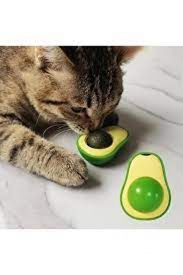 Avokado Catnip Avokado Kedi Çimi Topu Avokado Kedi Nanesi Oyuncağı ürün görseli 1