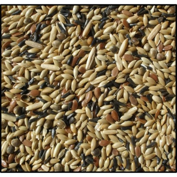 Karışık Kanarya Yemi Kaliteli Karışım Açık Lüx 5 Kg ürün görseli 1