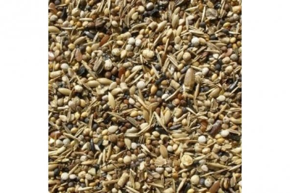 Sağlık Tohumu Kuş Yemi 60 Gr ürün görseli 1