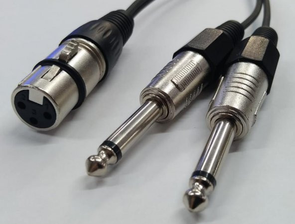 XLR Dişi to 2x 6.3 mm Mono Erkek Kablo 2 Metre ürün görseli 1