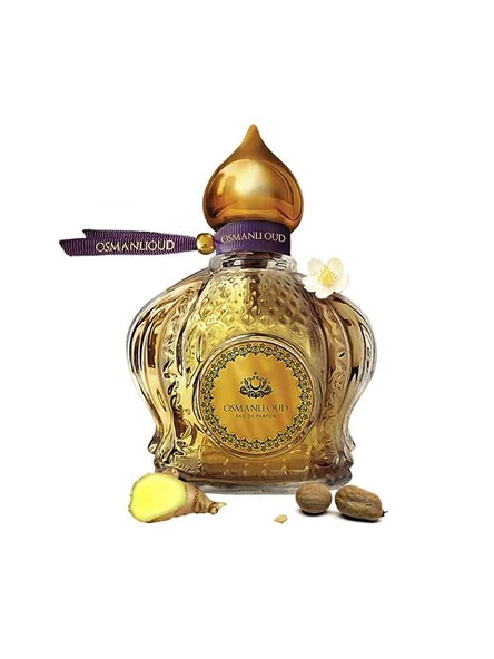 Osmanlı Oud Warriors Celebi EDP 65 ML Erkek Parfümü – Odunsu Aromatik – 4108 ürün görseli 1
