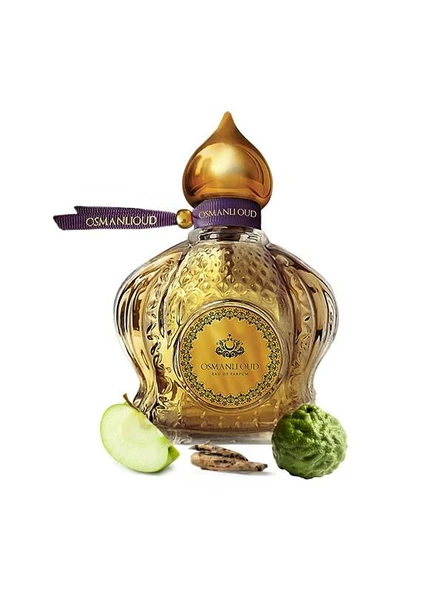 Osmanlı Oud Warriors Dağhan EDP 65 ML Erkek Parfümü – Aromatik – 4109 ürün görseli 1