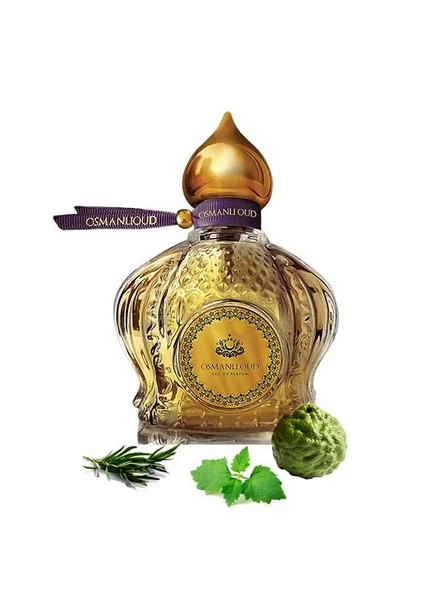 Osmanlı Oud Warriors Fahreddin EDP 65 ML Erkek Parfümü – Aromatik Fresh – 4119 ürün görseli 1