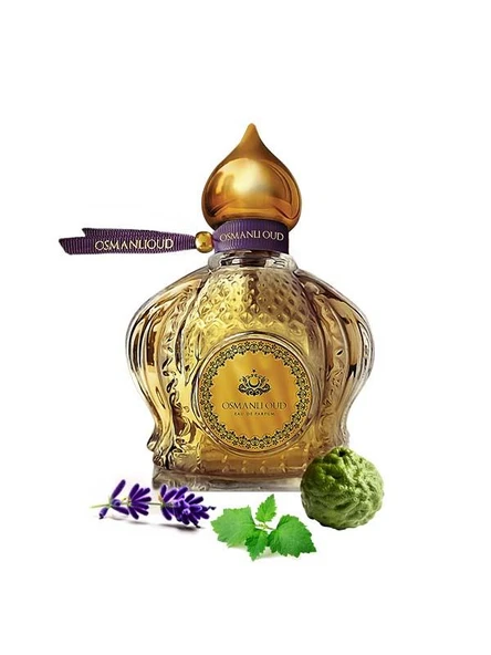 Osmanlı Oud Warriors Cenk EDP 65 ML Erkek Parfümü – Aromatik – 4127 ürün görseli 1