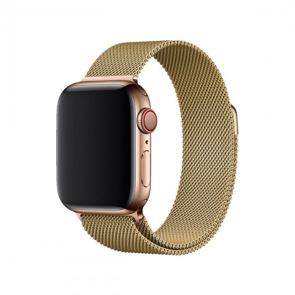 E2M APPLE WATCH 38-40MM KRD-01 METAL HASIR ALTIN  KORDON ürün görseli 1