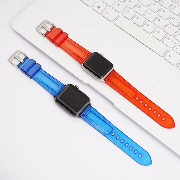 E2M Apple Watch 38-40mm KRD-23 Transparent Laciver - Resim 3