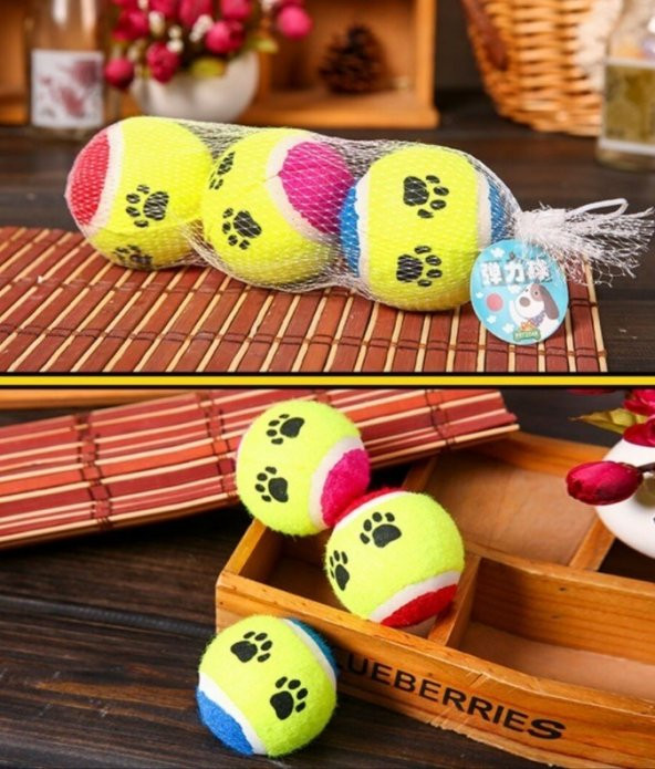 Evcil Hayvan Kedi Köpek Eğitim Topu 3 Lü Set Kedi Köpek Oyun Topu Kedi Oyuncagı Köpek Oyuncagı ürün görseli 1